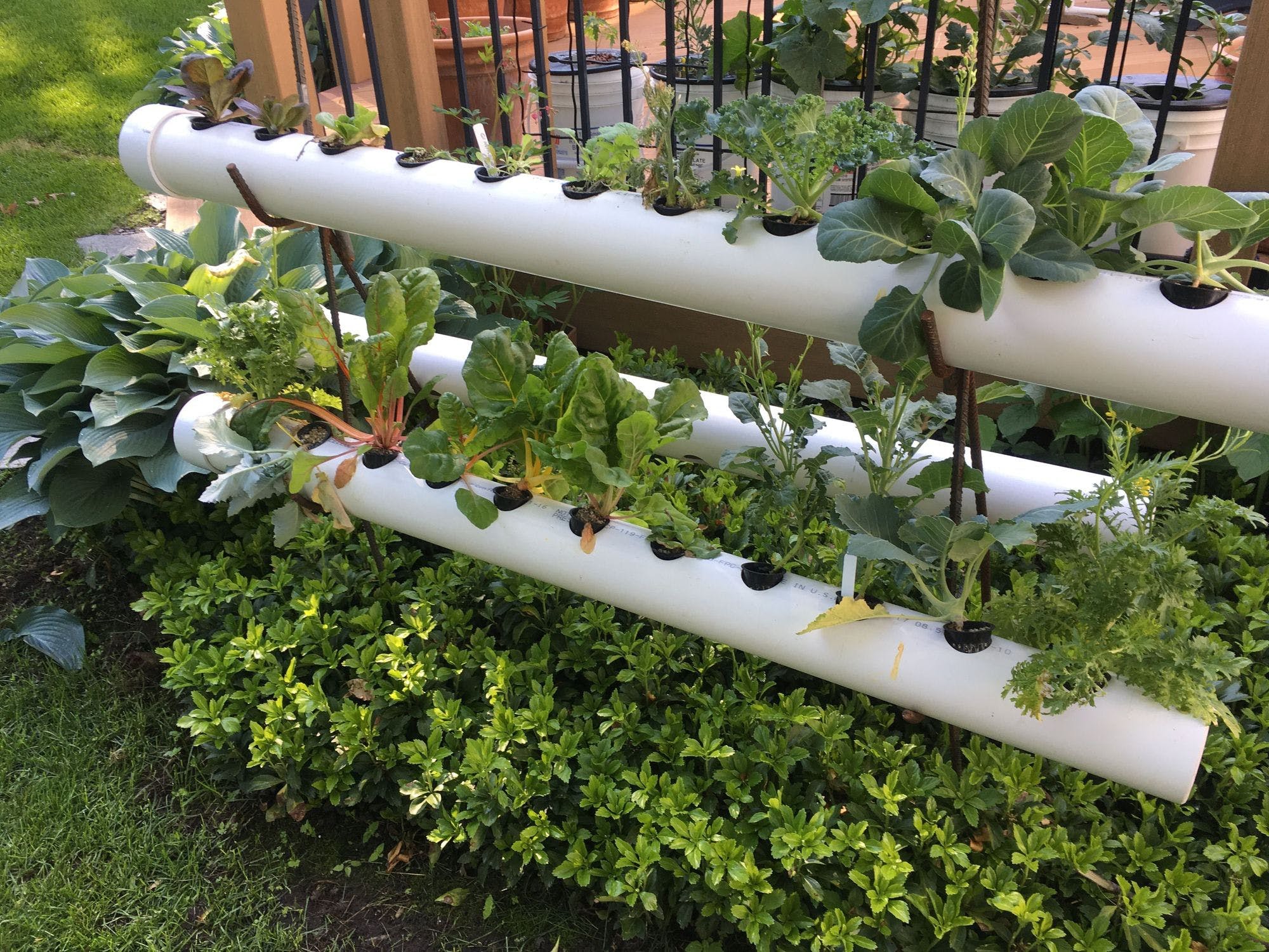 Get The New Ideas For Perfect Hydroponic Garden For Healthy Garden